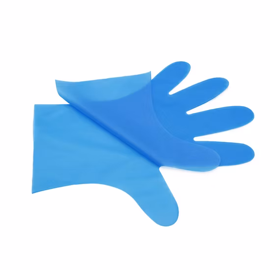 Household Disposable Gloves Food Grade TPE Film Sanitary Gloves Kitchen Gloves